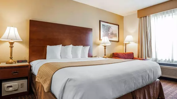 Quality Inn Brookfield | Wisconsin - Milwaukee (ve civarı) - Brookfield