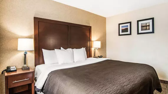 Comfort Inn & Suites Vancouver | Washington - Vancouver (ve civarı) - Vancouver - Downtown Vancouver