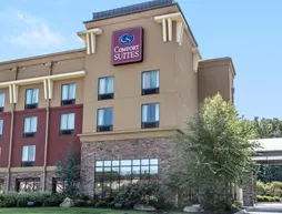 Comfort Suites Kodak | Tennessee - Gatlinburg - Pigeon Forge (ve civarı) - Kodak