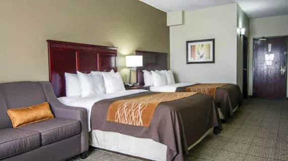 Comfort Inn & Suites Market Center | Teksas - Dallas (ve civarı) - Dallas