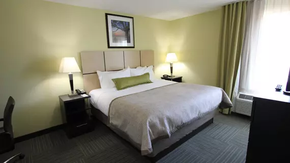 Candlewood Suites Greenville | Güney Karolayna - Greenville - Spartanburg (ve civarı) - Greenville