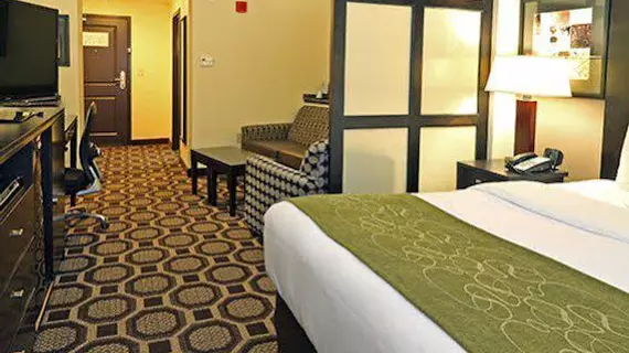 Comfort Suites Lexington | Güney Karolayna - Columbia (ve civarı) - Lexington