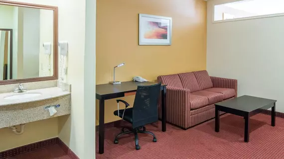 Quality Suites Houston IHA Airport - Beltway 8 | Teksas - Houston (ve civarı) - Houston