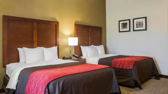 Comfort Inn Albany/Glenmont | New York - Albany (ve civarı) - Glenmont