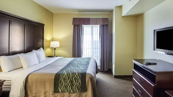 Comfort Inn Near SeaWorld | Teksas - San Antonio (ve civarı) - San Antonio - Batı San Antonio