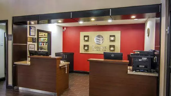 Comfort Inn & Suites Market Center | Teksas - Dallas (ve civarı) - Dallas