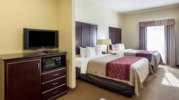 Comfort Inn Near SeaWorld | Teksas - San Antonio (ve civarı) - San Antonio - Batı San Antonio