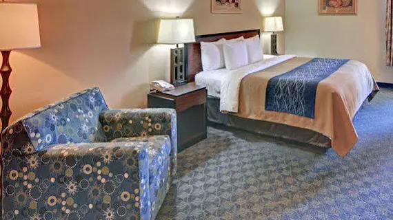 Comfort Inn DFW Airport South | Teksas - Dallas (ve civarı) - Irving