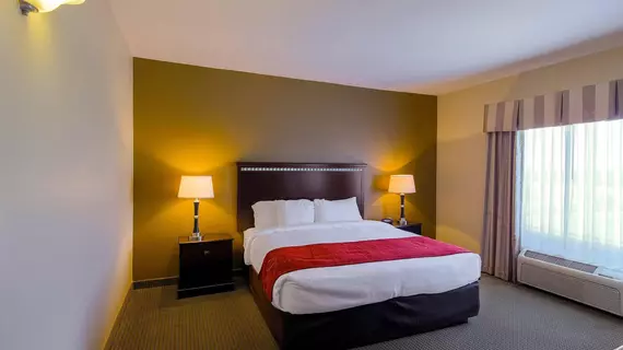 Comfort Suites University Abilene | Teksas - Abilene (ve civarı) - Abilene