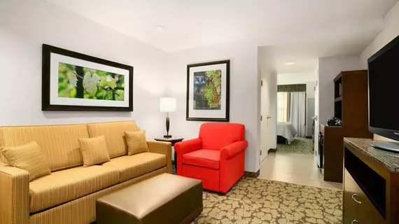 Hilton Garden Inn Auburn | New York - Syracuse (ve civarı) - Auburn