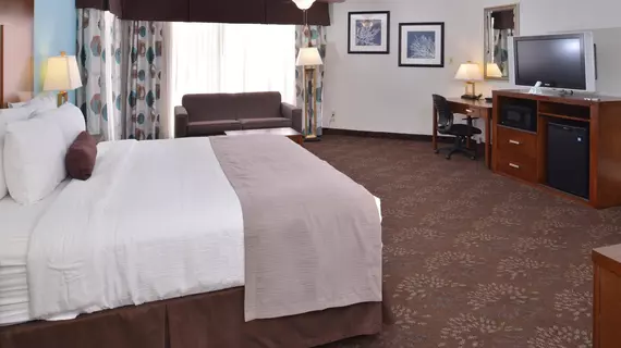 BEST WESTERN PLUS EL PASO AIRPORT HOTEL & CONFERENCE CENTER | Teksas - El Paso (ve civarı) - El Paso