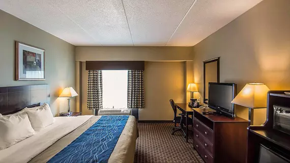 Comfort Inn Rochester | New York - Rochester (ve civarı) - Rochester