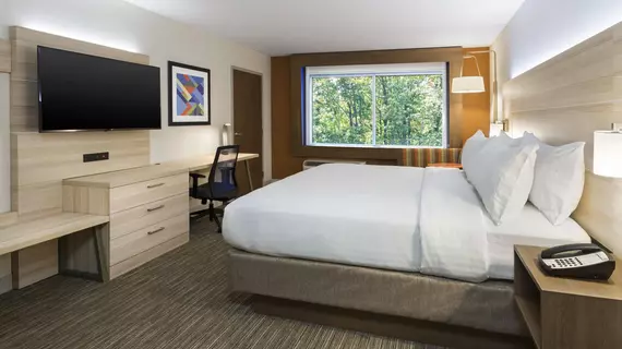 Holiday Inn Express and Suites Medina | Ohio - Summit İlçesi - Akron (ve civarı) - Medina