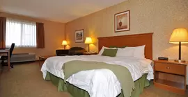 Best Western Rama Inn | Washington - Moses Lake (ve civarı) - Ephrata