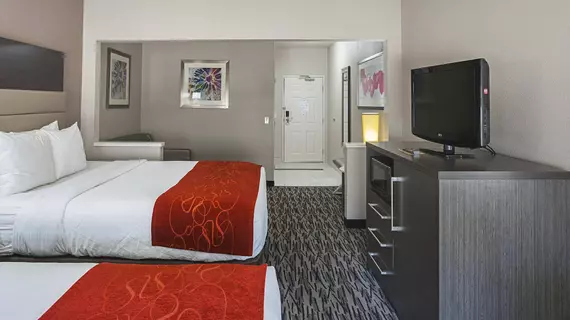 Comfort Suites Vista Ridge Mall | Teksas - Dallas (ve civarı) - Lewisville