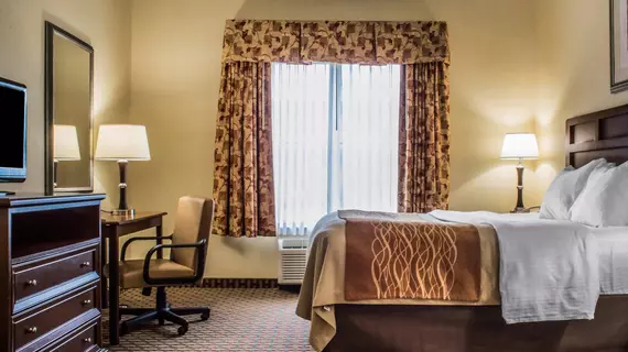 Comfort Inn & Suites Farmington | New York - Rochester (ve civarı) - Farmington