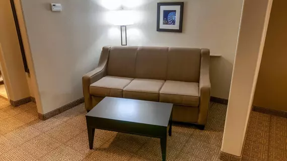 Comfort Suites Hobby Airport Houston | Teksas - Houston (ve civarı) - Houston