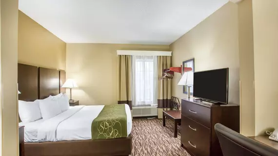 Comfort Suites Lebanon | Tennessee - Nashville-Davidson - Nashville (ve civarı) - Lebanon