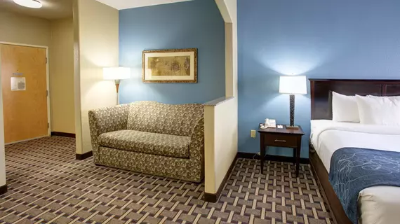 Comfort Suites Georgetown | Teksas - Austin (ve civarı) - Georgetown