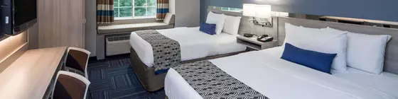 Microtel Inn & Suites - Greenville | Güney Karolayna - Greenville - Spartanburg (ve civarı) - Greenville