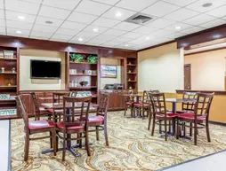 Quality Inn & Suites - Rock Hill | Güney Karolayna - Rock Hill (ve civarı) - Rock Hill