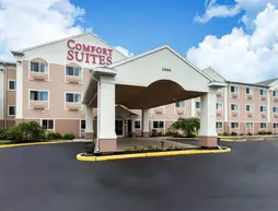 Comfort Suites Rochester | New York - Rochester (ve civarı) - Rochester