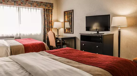 Comfort Inn Waterford | Michigan - Detroit (ve civarı) - Waterford