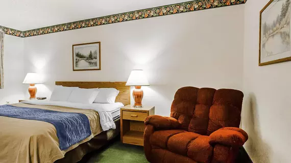 Comfort Inn Ozark | Missouri - Springfield (ve civarı) - Ozark