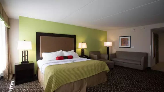 Holiday Inn Murfreesboro | Tennessee - Nashville-Davidson - Nashville (ve civarı) - Murfreesboro