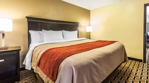 Comfort Inn & Suites Cleveland | Tennessee - Chattanooga (ve civarı) - Cleveland