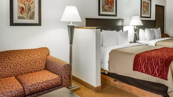 Comfort Inn Farmington | New Mexico - Farmington (ve civarı) - Farmington