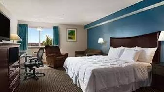 Days Inn Lacey | Washington - Olympia (ve civarı) - Lacey