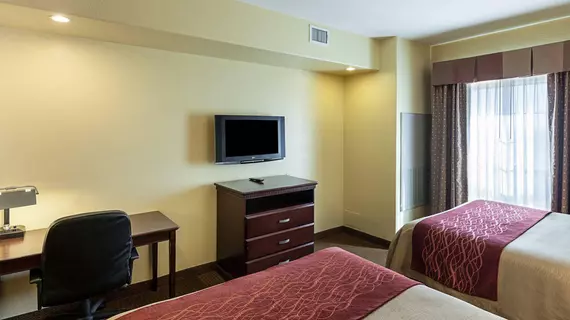 Comfort Inn Near SeaWorld | Teksas - San Antonio (ve civarı) - San Antonio - Batı San Antonio