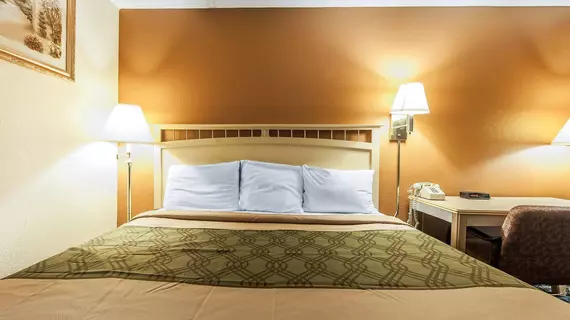 Econo Lodge Chattanooga | Tennessee - Chattanooga (ve civarı) - Chattanooga - Tyner