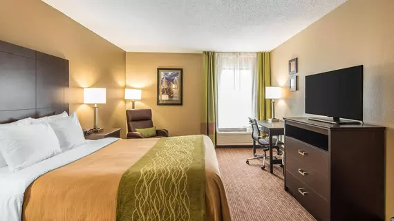 Comfort Inn and Suites Kansas City Northeast | Missouri - Kansas City (ve civarı) - Kansas