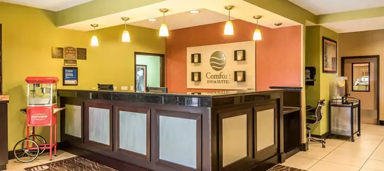 Comfort Inn and Suites Kansas City Northeast | Missouri - Kansas City (ve civarı) - Kansas