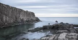 Cliff House Maine | Maine - Ogunquit - Wells (ve civarı) - Cape Neddick