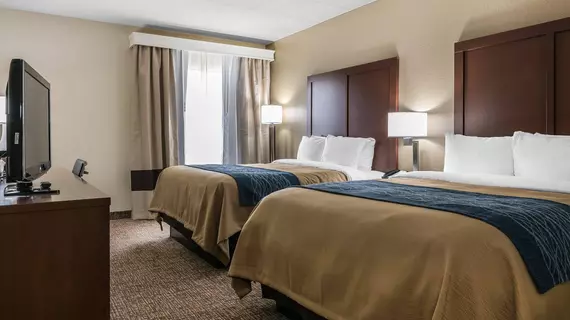 Comfort Inn Indianapolis | Indiana - Indianapolis (ve civarı) - Indianapolis