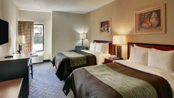 Comfort Inn DFW Airport South | Teksas - Dallas (ve civarı) - Irving