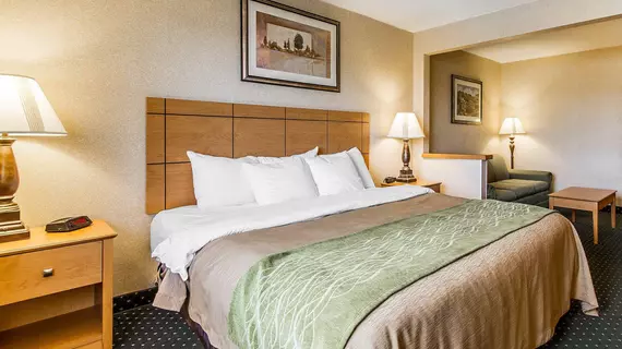 Comfort Inn Onalaska | Wisconsin - La Crosse (ve civarı) - Onalaska