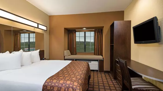 Microtel Inn & Suites by Wyndham San Antonio by SeaWorld | Teksas - San Antonio (ve civarı) - San Antonio