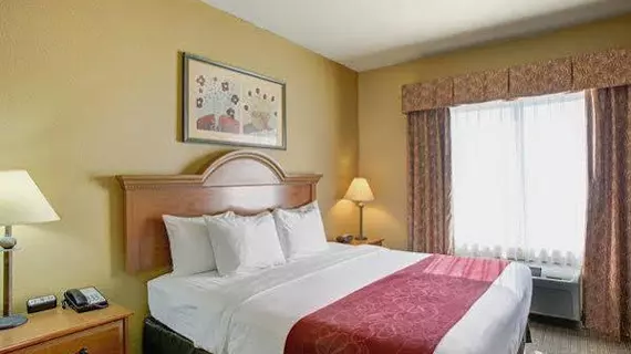 Comfort Suites North IH 35 | Teksas - San Antonio (ve civarı) - San Antonio - Kuzey San Antonio - SAT Havalimanı