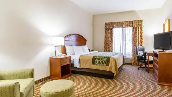 Comfort Inn and Suites Norman | Oklahoma - Oklahoma City (ve civarı) - Norman