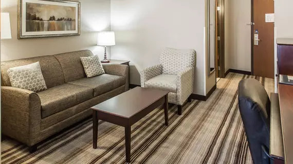 Comfort Suites Hudson | Wisconsin - Hudson (ve civarı) - Hudson