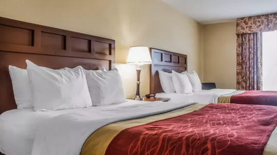 Comfort Inn & Suites Farmington | New York - Rochester (ve civarı) - Farmington