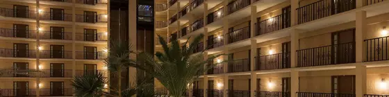 Four Points by Sheraton Suites Tampa Airport Westshore | Florida - Tampa (ve civarı) - Tampa