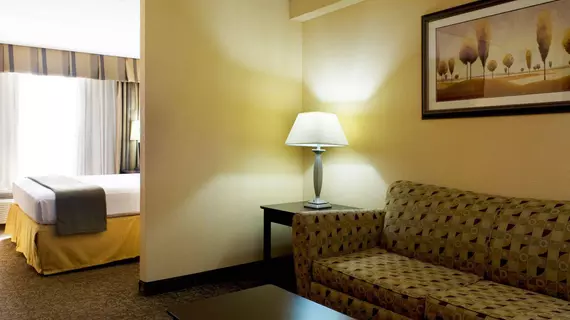 Holiday Inn Express Hotel & Suites Dallas Fort Worth Airport South | Teksas - Dallas (ve civarı) - Irving