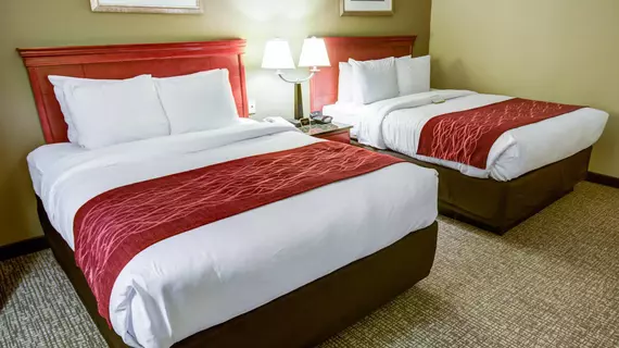 Comfort Inn Greencastle | Pensilvanya - Gettysburg (ve civarı) - Greencastle