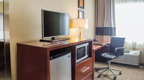 Comfort Inn Mayfield Heights Cleveland East | Ohio - Cleveland (ve civarı) - Mayfield Heights