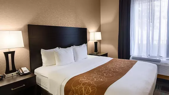 Comfort Suites Houston | Teksas - Houston (ve civarı) - Houston